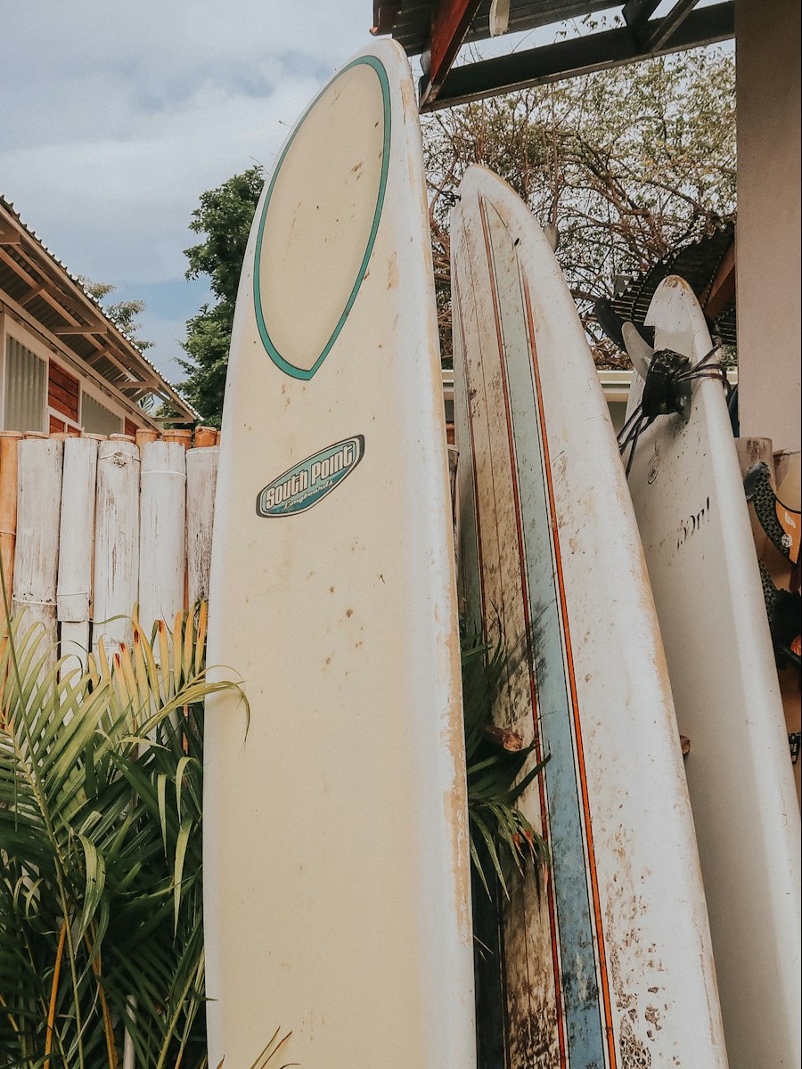 Planches de surf posées sur une clôture en bois blanc